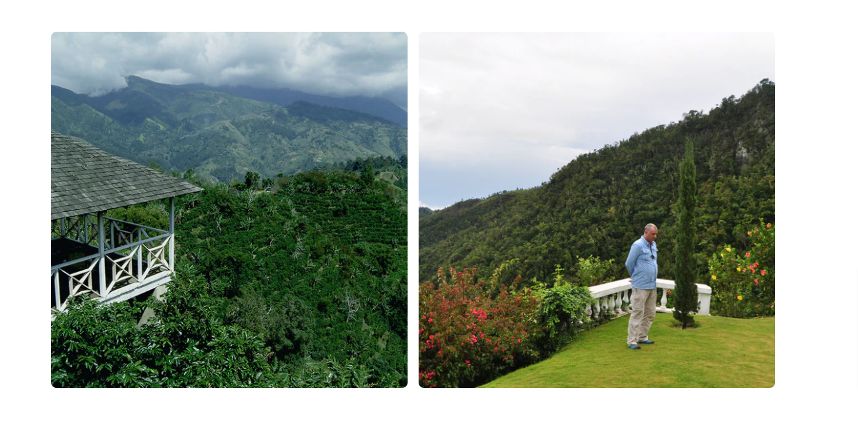 Montagnes bleues de la Jamaïque